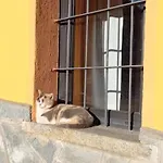 아파트 Piccolo La Custode Del Viaggio